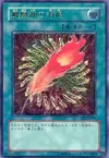Product image for A Feather of the Phoenix