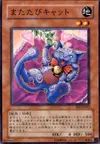 Product image for Catnipped Kitty
