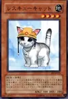 Product image for Rescue Cat
