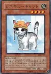 Product image for Rescue Cat