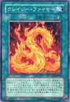 Product image for Wild Fire