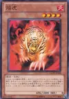 Product image for Flame Tiger
