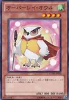 Product image for Overlay Owl