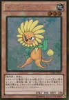 Product image for Dandylion
