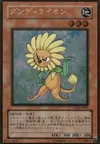 Product image for Dandylion