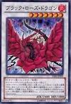 Product image for Dragon Rose Noire