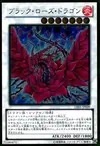 Product image for Dragon Rose Noire