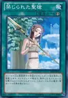 Product image for Forbidden Lance
