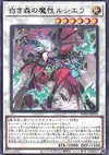 Product image for Rciela, Sinister Soul of the White Forest