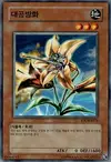 Product image for Anti-Aircraft Flower