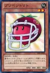 Product image for Interceptomato