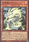 Product image for Tenpai Dragon Paidra