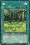 Product image for Forest