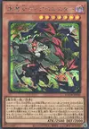 Product image for Diabellstar the Black Witch