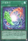 Product image for Heavy Polymerization
