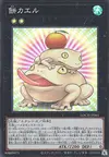Product image for Toadally Awesome