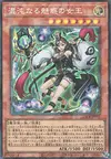 Product image for Chaos Allure Queen