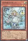 Product image for Elzette of the White Forest