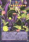 Product image for Starving Venom Fusion Dragon, Four Heavenly Dragons