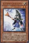 Product image for Miracle Flipper