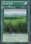 Product image for Wetlands