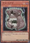 Product image for Des Koala