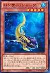 Product image for Requin Panthère