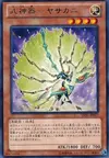 Product image for Bujingi Peacock