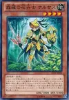 Product image for Sylvan Flowerknight