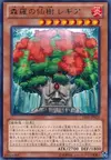 Product image for Sylvan Hermitree