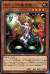 Product image for Traptrix Nepenthes