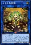 Product image for Traptrix Sera