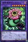 Product image for Chimèrafflesia Prédaplante