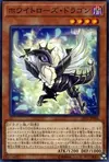 Product image for Dragon Rose Blanche