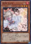 Product image for Ash Blossom & Joyous Spring