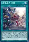 Product image for Disciples of the True Dracophoenix