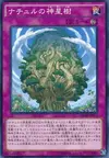Product image for Arbre Sacrée Naturia