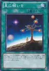 Product image for Star Light, Star Bright