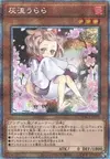 Product image for Ash Blossom & Joyous Spring