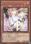 Product image for Ash Blossom & Joyous Spring