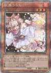 Product image for Ash Blossom & Joyous Spring
