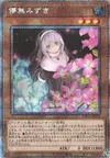 Product image for Ghost Sister & Spooky Dogwood