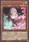 Product image for Ghost Sister & Spooky Dogwood