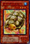 Product image for Gora Turtle