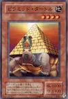 Product image for Pyramid Turtle