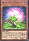 Product image for Samsara D Lotus