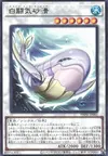 Product image for White Aura Porpoise