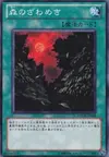 Product image for Murmur of the Forest