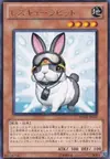 Product image for Rescue Rabbit