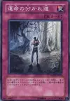 Product image for The Paths of Destiny